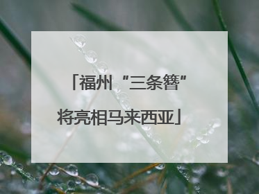 福州“三条簪”将亮相马来西亚