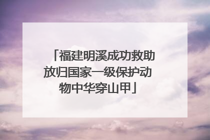 福建明溪成功救助放归国家一级保护动物中华穿山甲