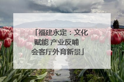 福建永定：文化赋能 产业反哺 会客厅外育新景