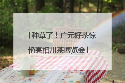 种草了！广元好茶惊艳亮相川茶博览会