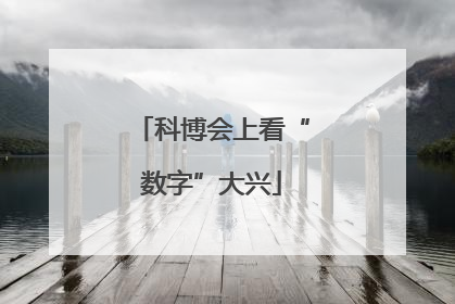 科博会上看“数字”大兴