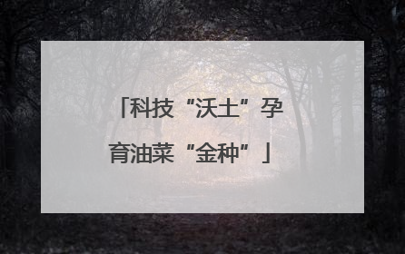 科技“沃土”孕育油菜“金种”
