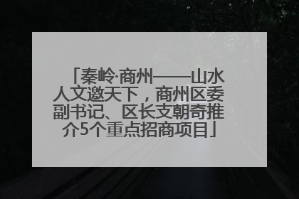 秦岭·商州——山水人文邀天下，商州区委副书记、区长支朝奇推介5个重点招商项目