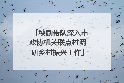 秧励带队深入市政协机关联点村调研乡村振兴工作