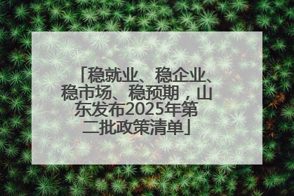 稳就业、稳企业、稳市场、稳预期，山东发布2025年第二批政策清单