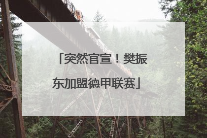 突然官宣！樊振东加盟德甲联赛