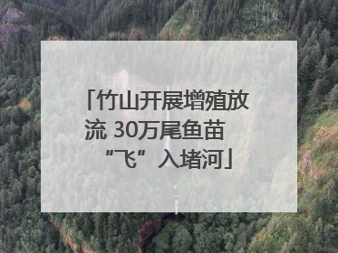 竹山开展增殖放流 30万尾鱼苗“飞”入堵河