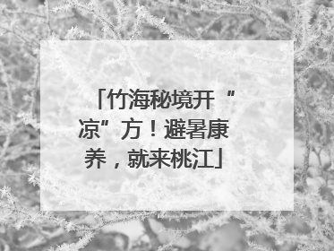 竹海秘境开“凉”方！避暑康养，就来桃江