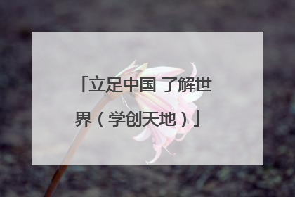 立足中国 了解世界（学创天地）
