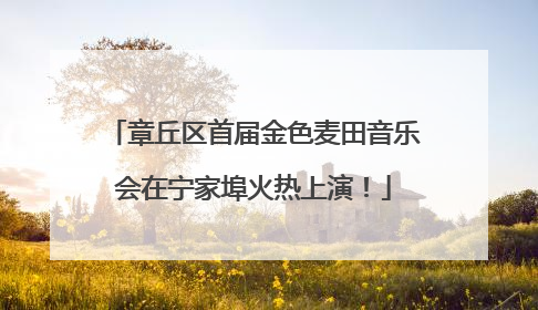 章丘区首届金色麦田音乐会在宁家埠火热上演！
