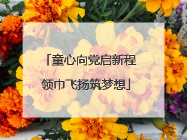童心向党启新程 领巾飞扬筑梦想