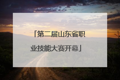 第二届山东省职业技能大赛开幕