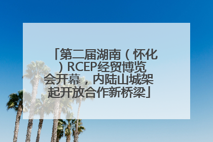 第二届湖南（怀化）RCEP经贸博览会开幕，内陆山城架起开放合作新桥梁