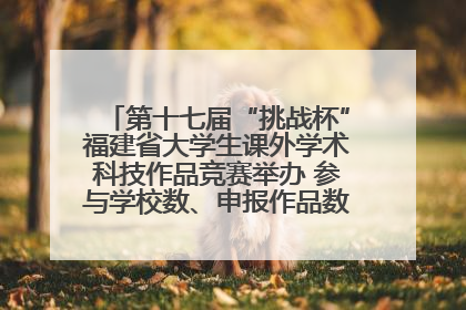 第十七届“挑战杯”福建省大学生课外学术科技作品竞赛举办 参与学校数、申报作品数创历史新高