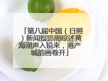 第八届中国（日照）新闻摄影周综述黄海潮声入镜来，港产城韵画卷开