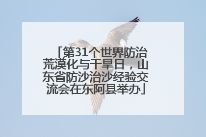 第31个世界防治荒漠化与干旱日，山东省防沙治沙经验交流会在东阿县举办