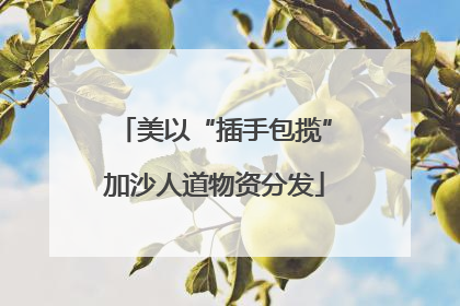 美以“插手包揽”加沙人道物资分发