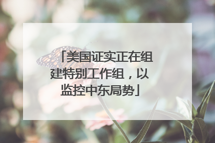 美国证实正在组建特别工作组，以监控中东局势