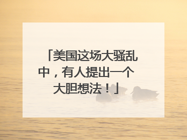 美国这场大骚乱中，有人提出一个大胆想法！