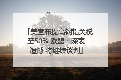 美宣布提高钢铝关税至50% 欧盟：深表遗憾 将继续谈判