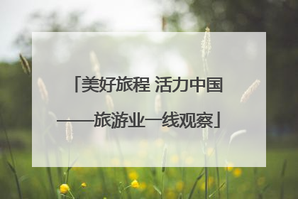 美好旅程 活力中国——旅游业一线观察