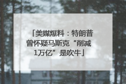 美媒爆料：特朗普曾怀疑马斯克“削减1万亿”是吹牛