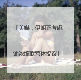 美媒：伊朗正考虑铀浓缩联营体提议