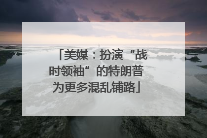 美媒：扮演“战时领袖”的特朗普为更多混乱铺路