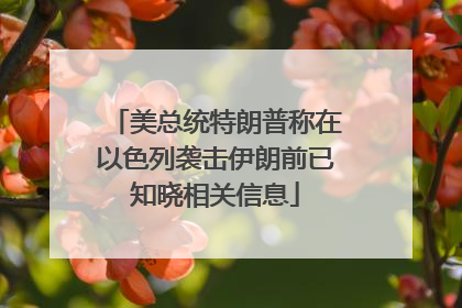 美总统特朗普称在以色列袭击伊朗前已知晓相关信息