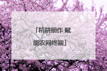 精耕细作 赋能农网终端