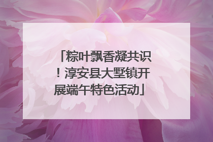 粽叶飘香凝共识！淳安县大墅镇开展端午特色活动