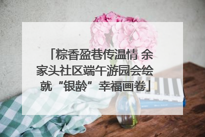 粽香盈巷传温情 余家头社区端午游园会绘就“银龄”幸福画卷