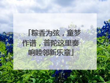 粽香为弦，童梦作谱，普陀这里奏响睦邻新乐章