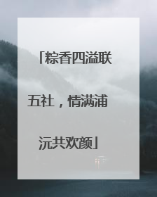 粽香四溢联五社，情满浦沅共欢颜