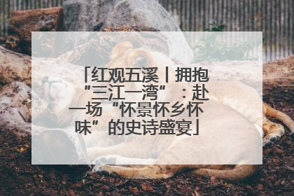 红观五溪丨拥抱“三江一湾”：赴一场“怀景怀乡怀味”的史诗盛宴