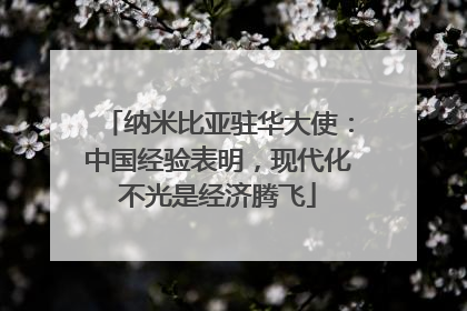 纳米比亚驻华大使：中国经验表明，现代化不光是经济腾飞