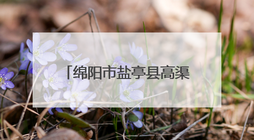 绵阳市盐亭县高渠初中举办女生青春期健康知识讲座
