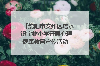 绵阳市安州区塔水镇宝林小学开展心理健康教育宣传活动