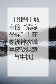 组图丨城市的“清凉坐标”！在株洲神农城里感受绿意与生机
