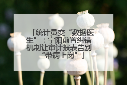 统计员变“数据医生”：宁阳前置纠错机制让审计报表告别“带病上岗”