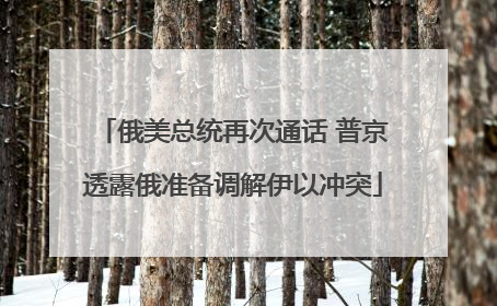俄美总统再次通话 普京透露俄准备调解伊以冲突