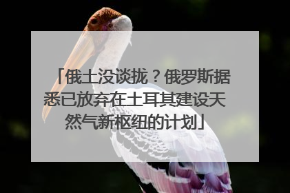 俄土没谈拢？俄罗斯据悉已放弃在土耳其建设天然气新枢纽的计划