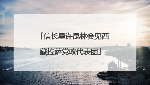 信长星许昆林会见西藏拉萨党政代表团
