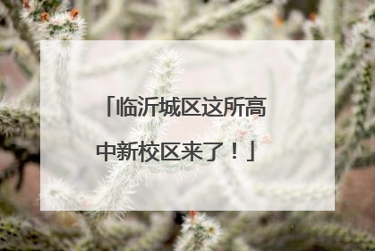 临沂城区这所高中新校区来了！