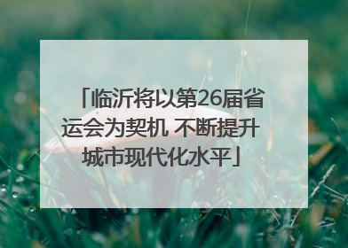 临沂将以第26届省运会为契机 不断提升城市现代化水平