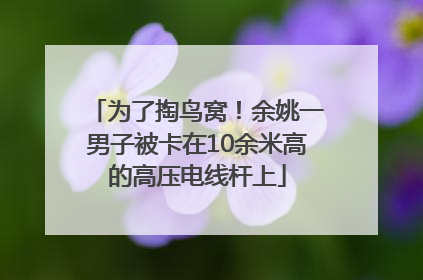 为了掏鸟窝！余姚一男子被卡在10余米高的高压电线杆上