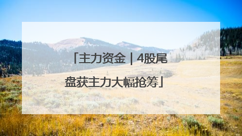 主力资金｜4股尾盘获主力大幅抢筹