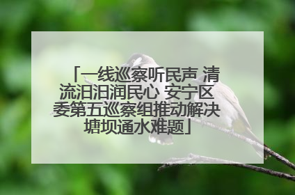 一线巡察听民声 清流汨汨润民心 安宁区委第五巡察组推动解决塘坝通水难题