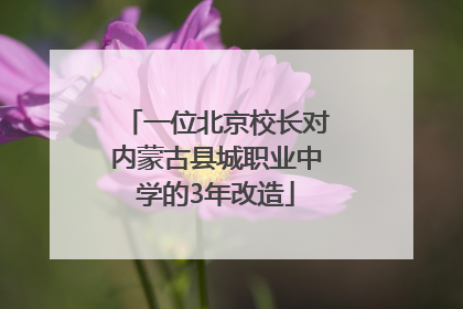 一位北京校长对内蒙古县城职业中学的3年改造