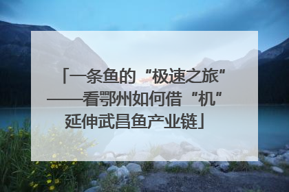 一条鱼的“极速之旅”——看鄂州如何借“机”延伸武昌鱼产业链